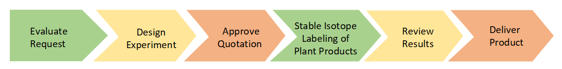 Project Workflow