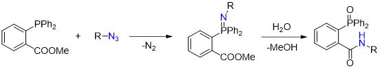 Staudinger Ligation