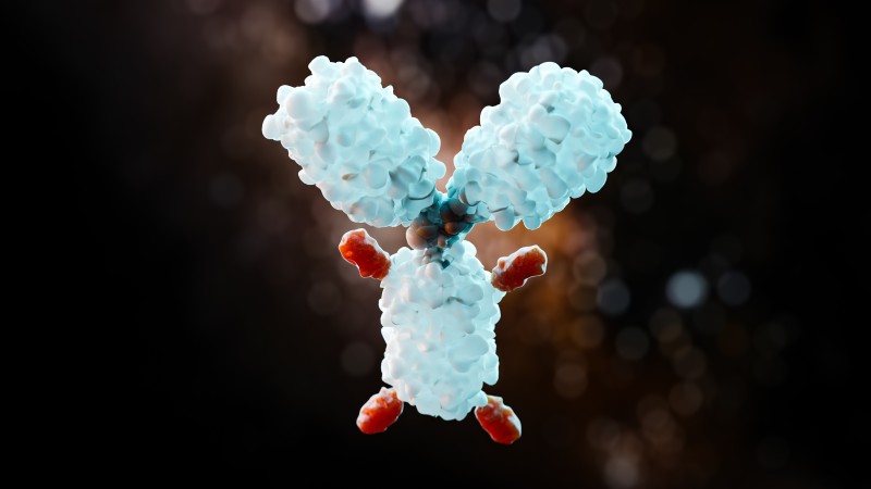 ADC Cysteine Conjugation: Strategies, Linker Stability, DAR Control, and Analytical Optimization