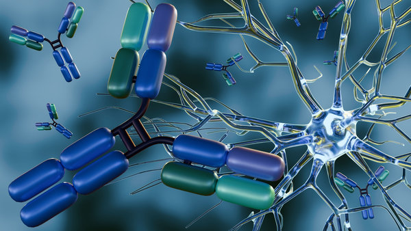 Amine-Reactive Antibody Conjugation: NHS Esters, Isothiocyanates, and EDC Chemistry