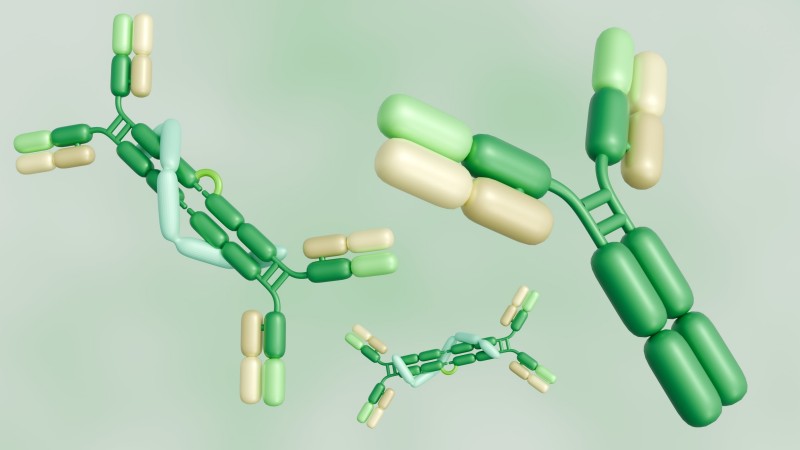Antibody Conjugation Quality Control: DOL, DAR, Purity, and Binding
