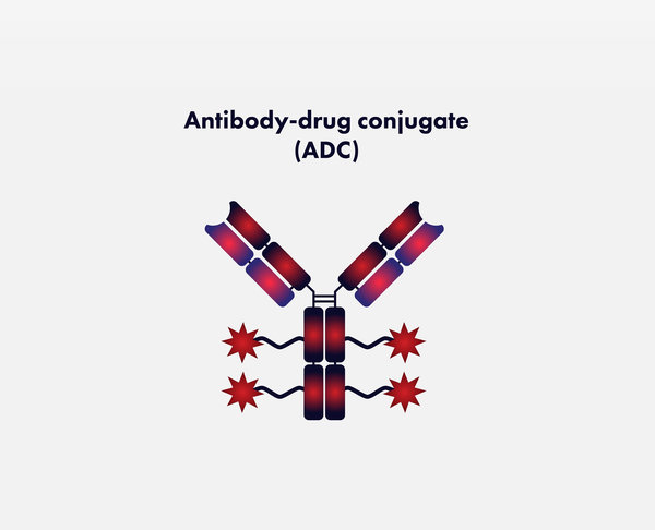 Antibody-Drug Conjugates (ADCs): Chemistry, Linker Design, and DAR Optimization