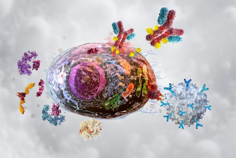 Antibody-Oligonucleotide Conjugation for Multiplex Assays and Single-Cell Analysis