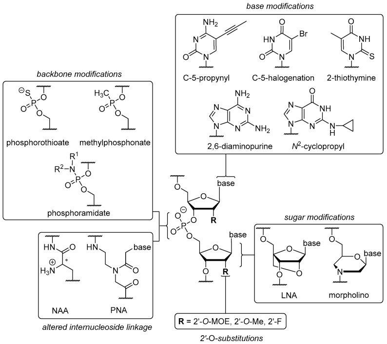 Available structural modification sites of oligonucleotide to small molecule.