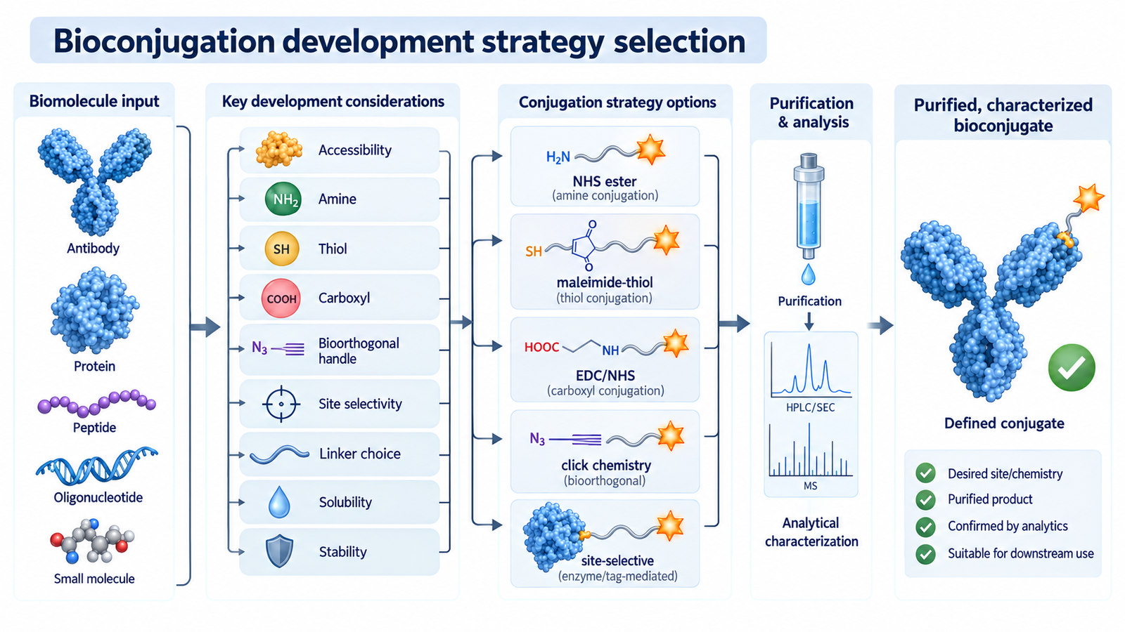 Bioconjugation development strategy selection by biomolecule type, reactive groups, site control, purification, and analytical needs