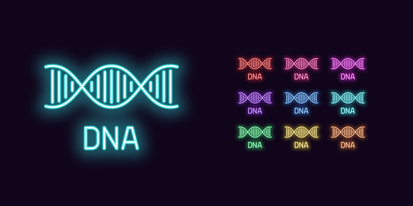 Chemical Strategies for Fluorescent Nucleic Acid Labeling: Amine-Reactive, Thiol, and Click Chemistry