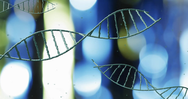 CuAAC vs SPAAC vs IEDDA: How to Choose the Right Click Chemistry Reaction