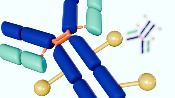 Custom Antibody Conjugation Services and cGMP Bioconjugation Manufacturing
