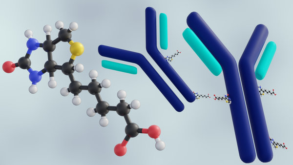 Cy3-Conjugated Streptavidin: Principle, Applications, Optimization, and Quality Control