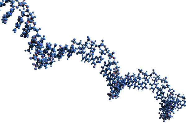 Cy3-Labeled siRNA: Design, Applications, Labeling Strategy, and Quality Control