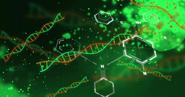 Cy5 Labeled DNA: Design Strategy, Labeling Chemistry, Applications, and Quality Control