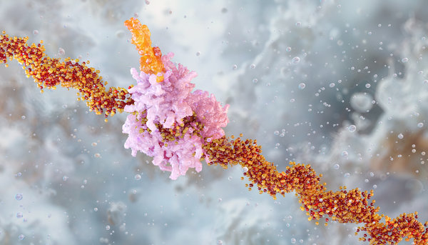Cy5 Labeled mRNA: Design, Labeling Methods, Delivery Tracking, and Quality Control