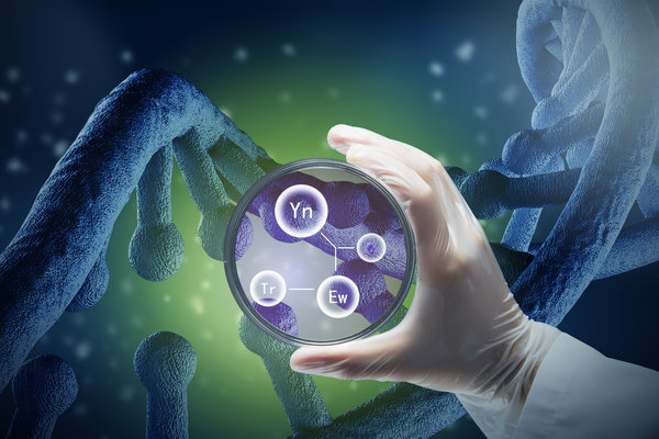 Cy5 Labeled Nucleotides: Selection, Incorporation, Applications, and Quality Control