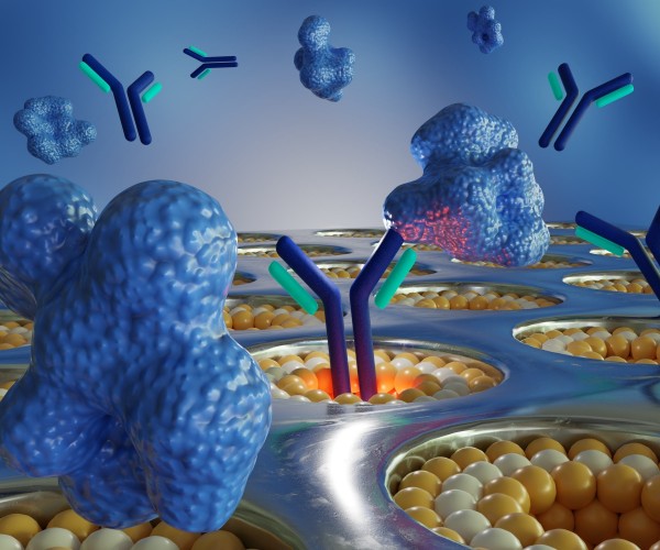 DBCO vs BCN for Antibody and Protein Conjugation