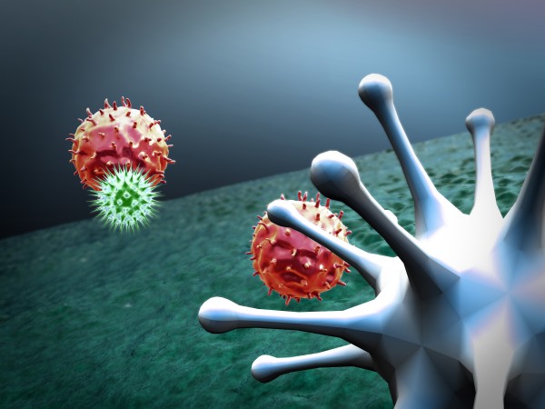 DBCO vs BCN for Oligonucleotide, Peptide, and Small-Molecule Conjugation