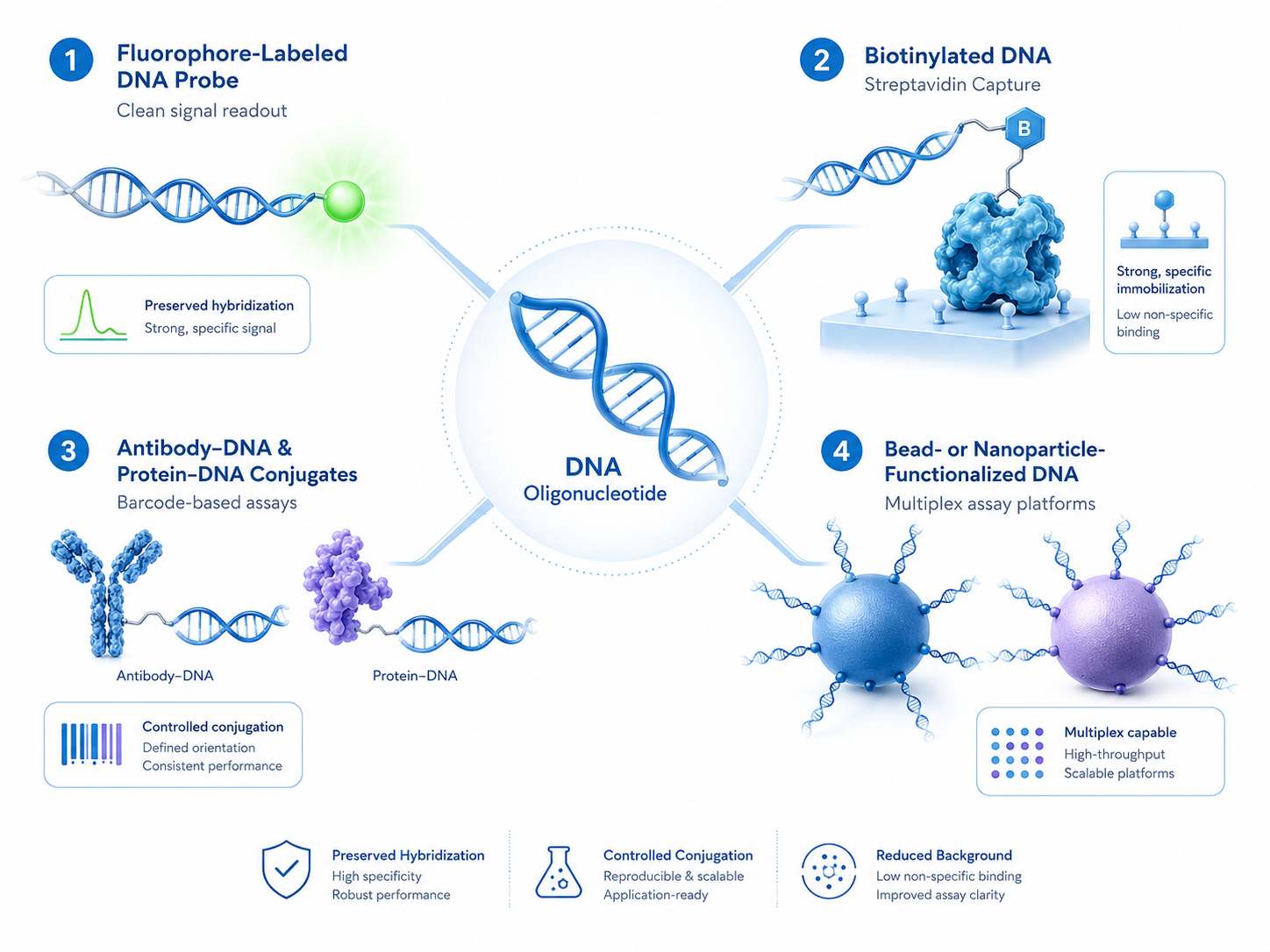 Illustration of custom DNA conjugation showing fluorophore-labeled DNA, biotin capture DNA, antibody-DNA conjugates, and bead-functionalized DNA for assay development