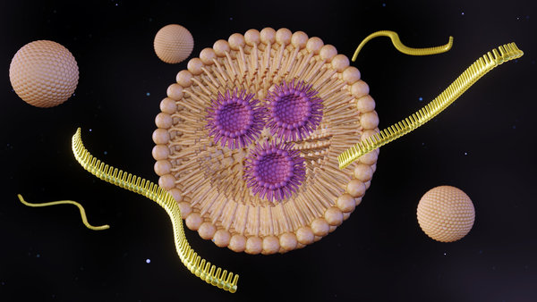 FAM-Labeled siRNA: Design, Synthesis, Applications, and Quality Control