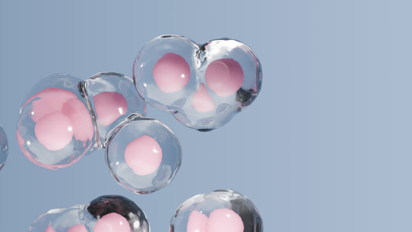 FITC Peptide Labeling: Chemistry, Design Strategy, Workflow, Purification, and Troubleshooting