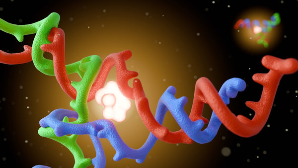 Fluorescent Dye Selection for Nucleic Acid Labeling: FITC vs Cy3 vs Cy5 vs Alexa Fluor