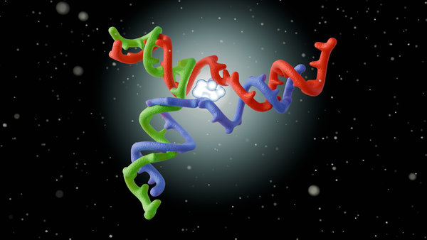 Fluorescent Labeled Nucleic Acid: Comprehensive Guide to DNA, RNA, and Oligonucleotide Probes