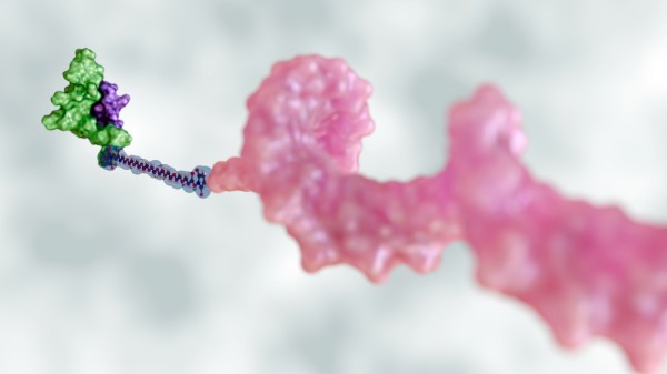 GalNAc Conjugates for Liver-Targeted Oligonucleotide Delivery