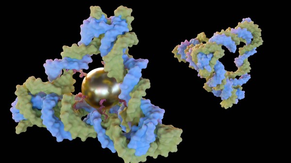 GalNAc Linkers: Choosing Spacers for Oligonucleotide Conjugation