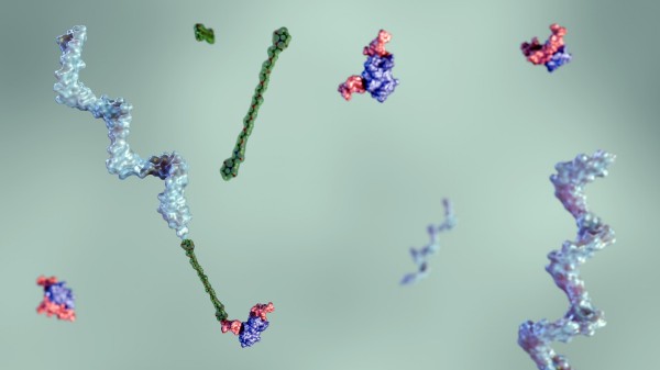 Characterization of GalNAc-Oligonucleotide Conjugates: Identity, Purity, Mass, and Impurity Profiling