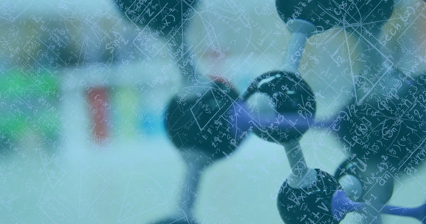 Hapten-Labeled Nucleotides: Design, Incorporation, Detection, and Quality Control