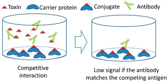 Fig. 1 Hapten protein conjugate used for IC-ELISA1