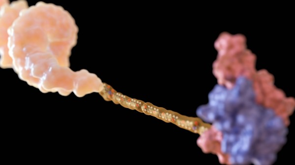 How to Design GalNAc-Oligonucleotide Conjugates