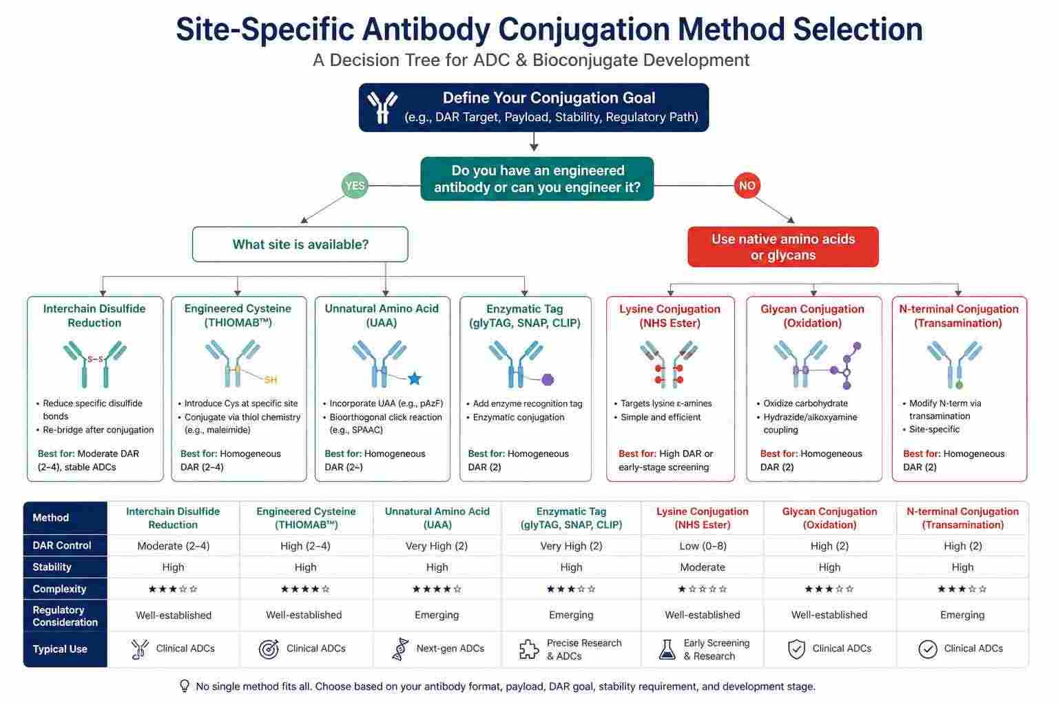 Decision framework for choosing a site-specific antibody conjugation method