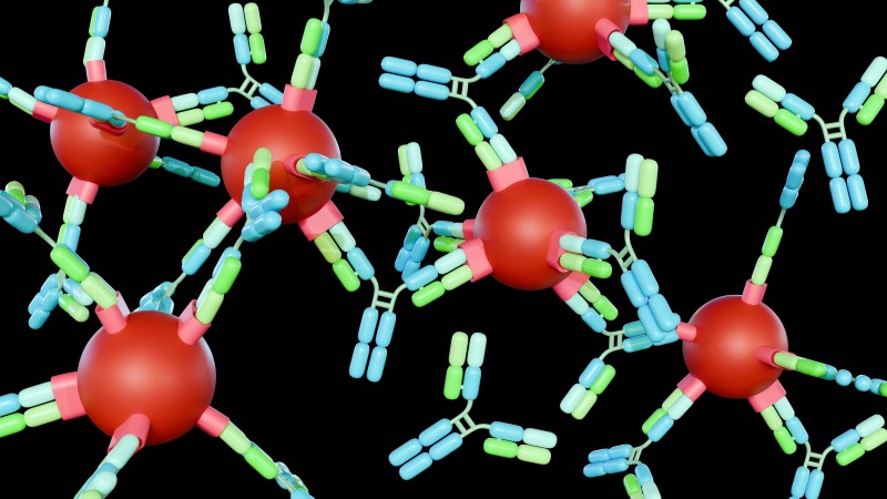 Site-Specific Antibody Conjugation Methods Explained