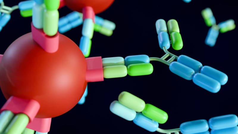 Site-Specific vs Random Antibody Conjugation: How to Choose