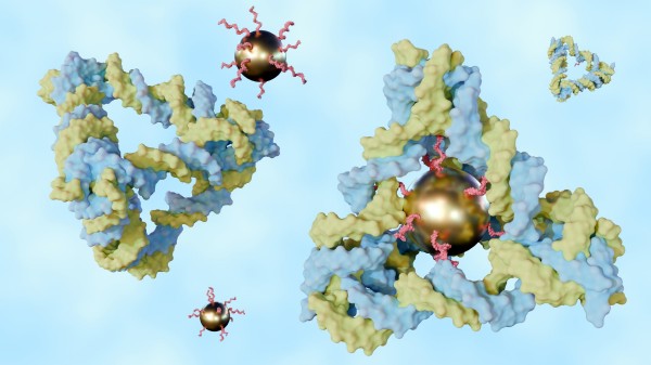 Solid-Phase vs Solution-Phase GalNAc Conjugation: Route Selection for Oligonucleotide Projects