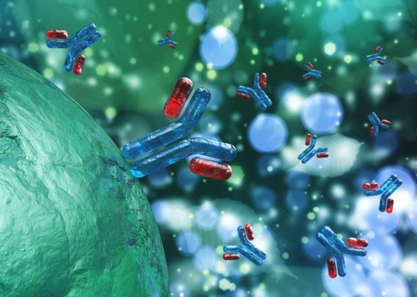 SPAAC Antibody Conjugation: A Practical Guide to Copper-Free Click Labeling