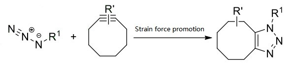 Reaction mechanism of SPAAC