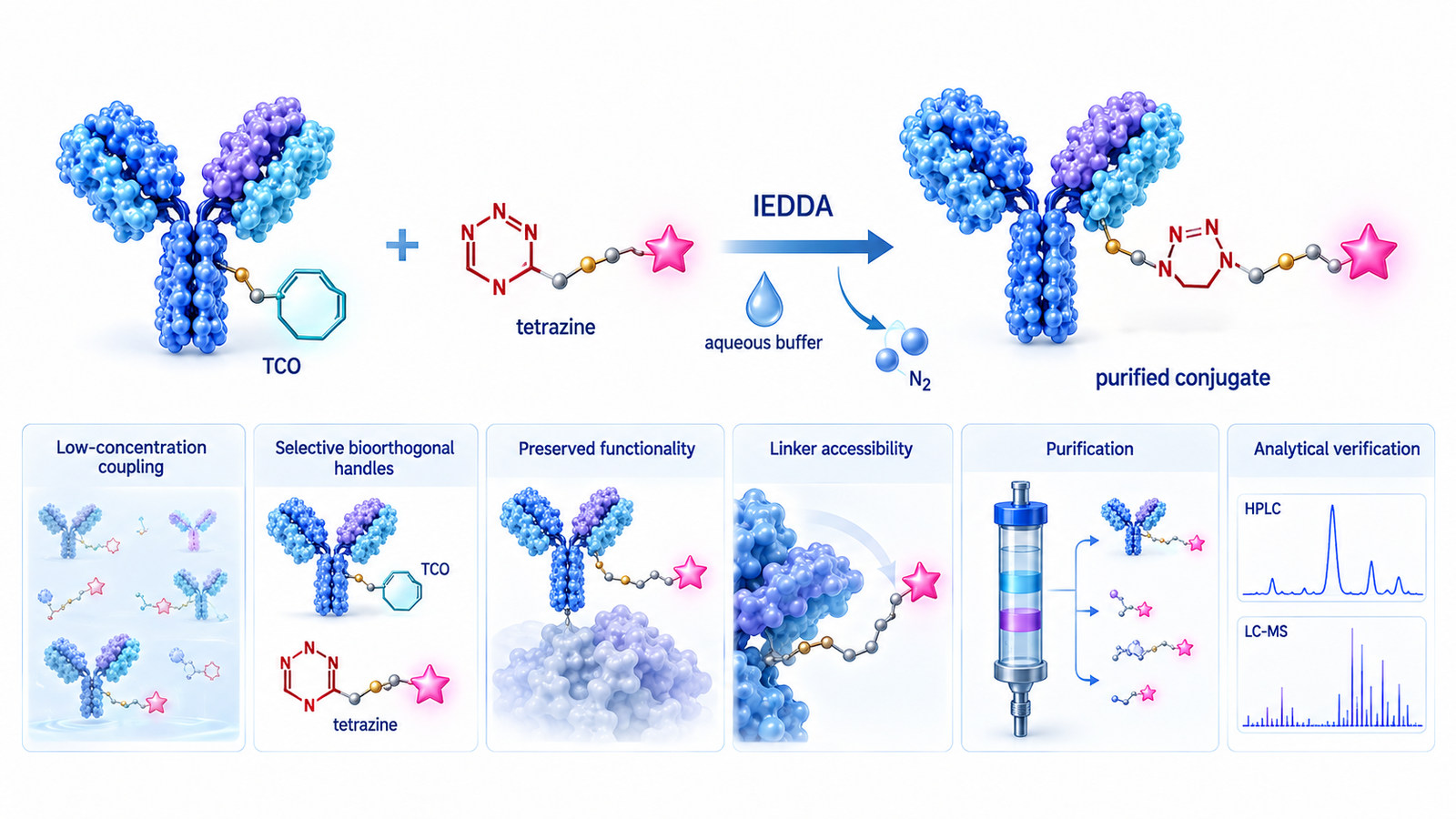 Tetrazine ligation workflow showing tetrazine and TCO functionalized biomolecules undergoing catalyst-free inverse-electron-demand Diels-Alder conjugation